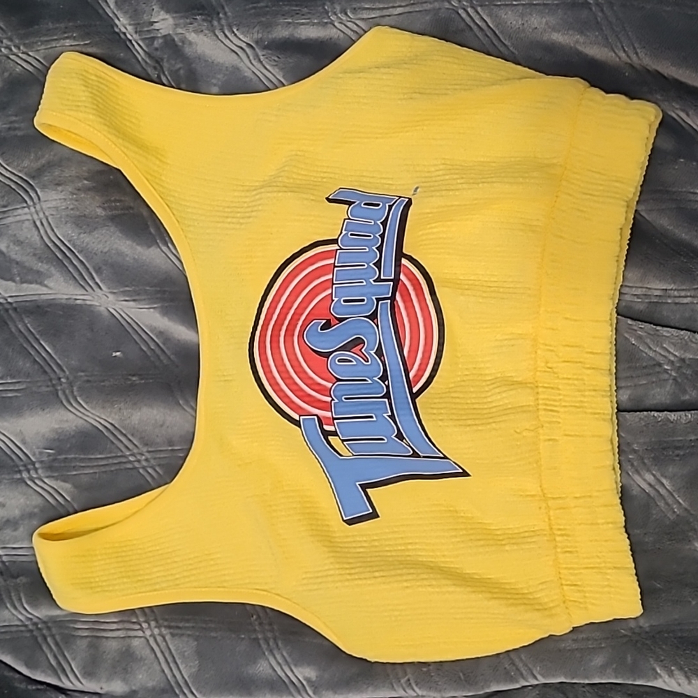 🟣 Tune Squad Crop Top